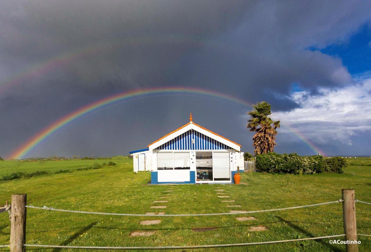 Casa Dos Flamingos Villa Murtosa Kültér fotó